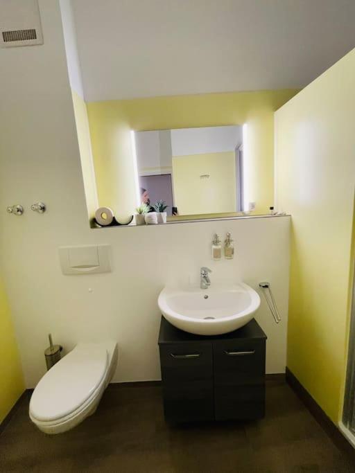 Fewo 20 - Appartement Im Rottalblick - Youngmodern Wohnen Mit Bademantelgang Zur Therme, Tv, Balkon Und Persoenlichem Gaesteempfang Von Astarte Estate Bad Griesbach  Dış mekan fotoğraf